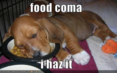 food coma