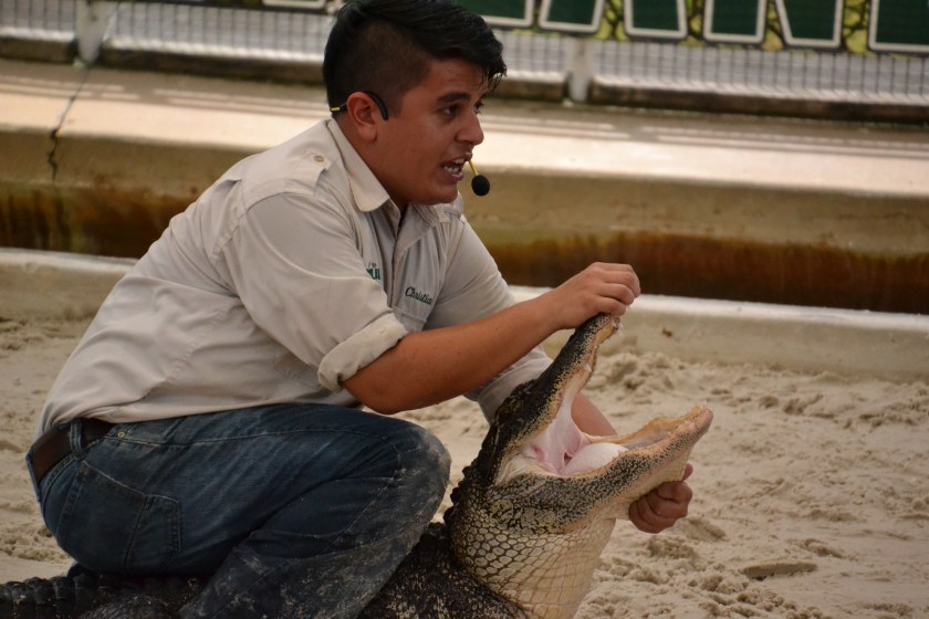 No seriously - just crazy.