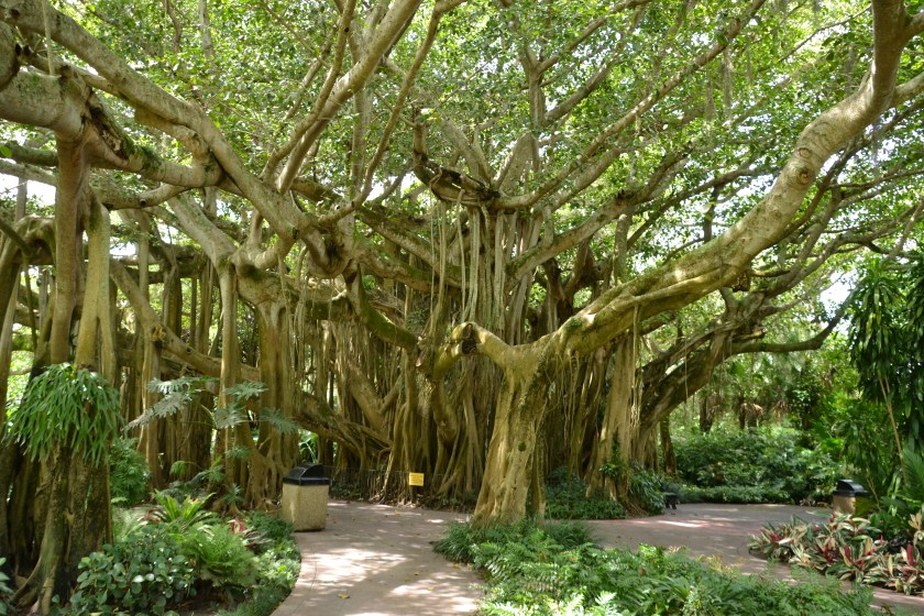 Pictures do not do it justice