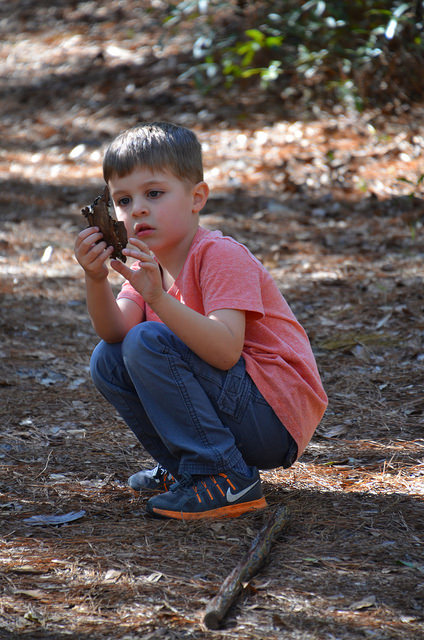Lichen. I want to have curiosity like a child again...