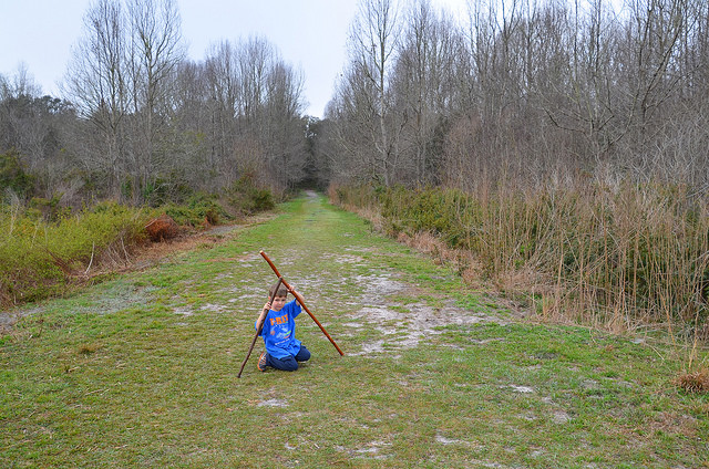 32488067990_e3c4f38c31_z