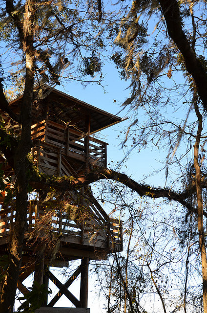 Observation Tower at the Paynes Prairie Visitor's Center